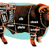 Outlook for the Dollar: Dissecting the Bull