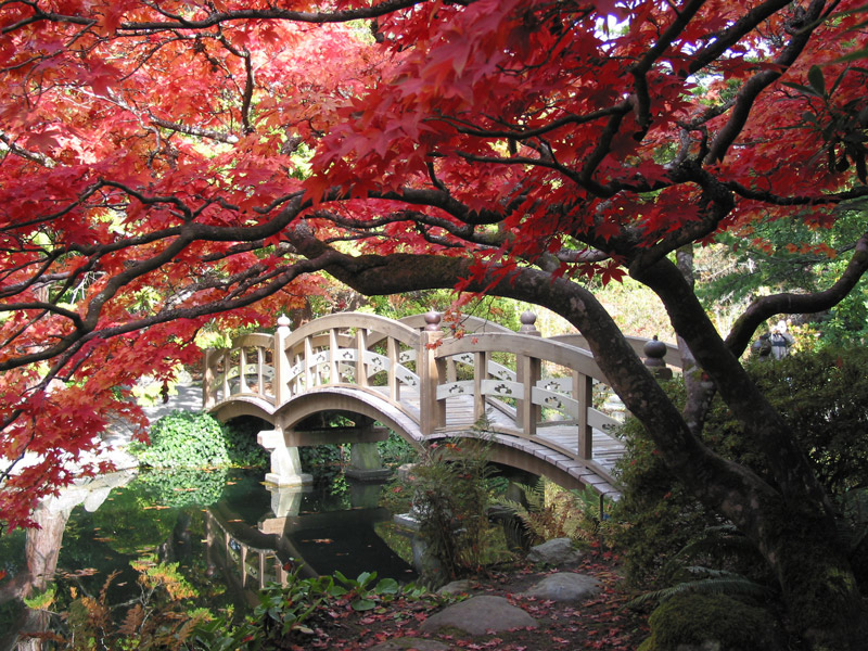 Japanese Gardens X3d BLISS