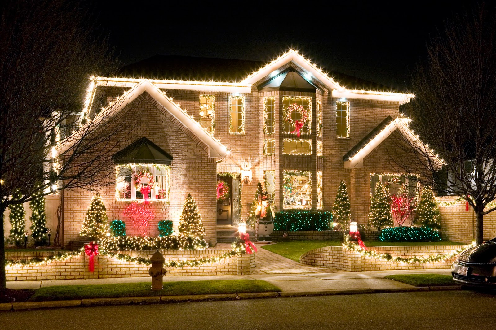 Unique Landscape Christmas Lights with Simple Decor