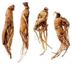 Manaat Ginseng Untuk Kecantikan Wajah ginseng_