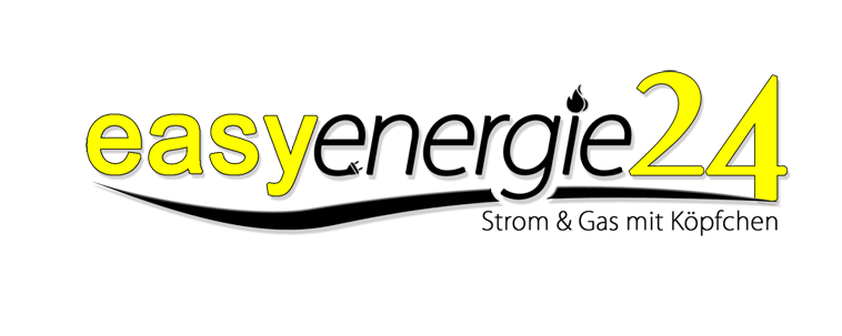 easyenergie24 NEWS 2013
