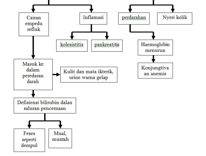 Sumber Ilmu ASKEP KOLELITIASIS (BATU EMPEDU)