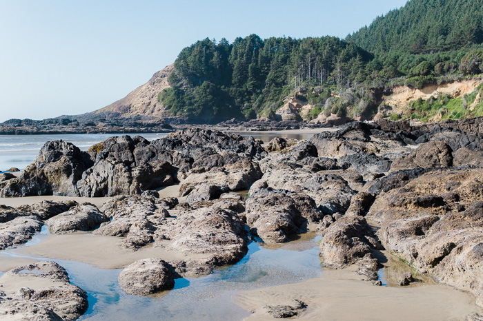 Strawberry Hill on the Oregon Coast Oregon Coast photos