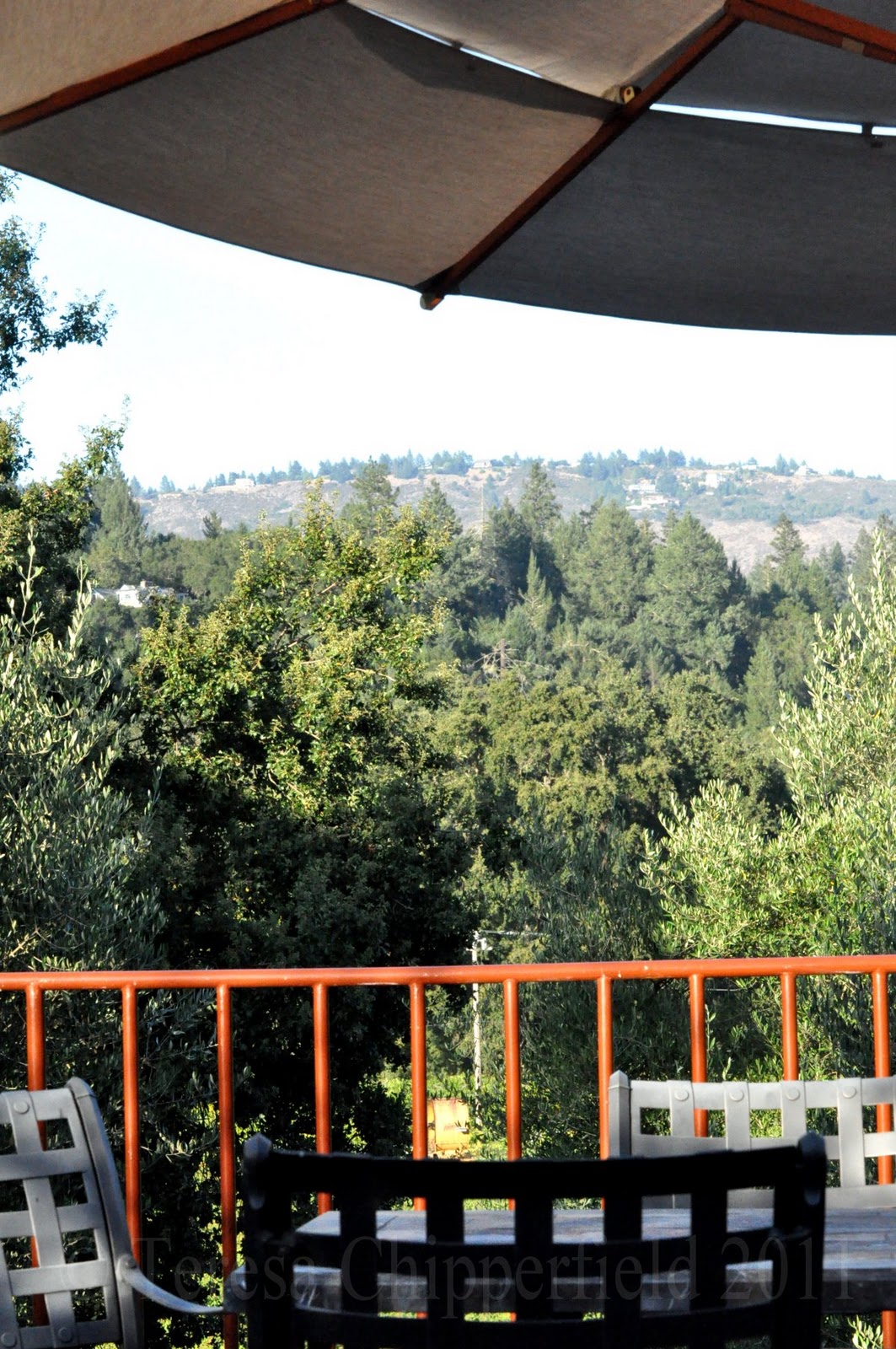 Poppy Place Pdx Vacationing in Napa Valley, California! Part One )