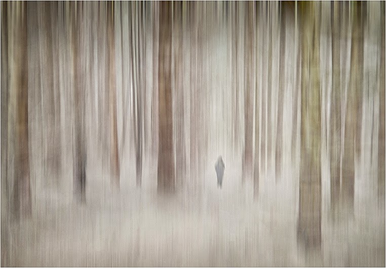 Emerging Photographers, Best Photo of the Day in Emphoka by Hugh Stanton, https://flic.kr/p/r3M16m Emerging Photographers, Best Photo of the Day in Emphoka by Hugh Stanton, https://flic.kr/p/r3M16m