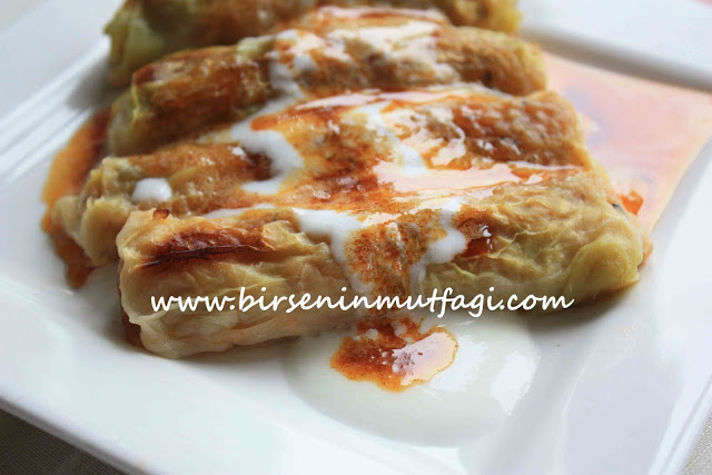  BİRSENCE RESİMLİ YEMEK TARİFLERİ DEĞİŞİK YEMEKLER