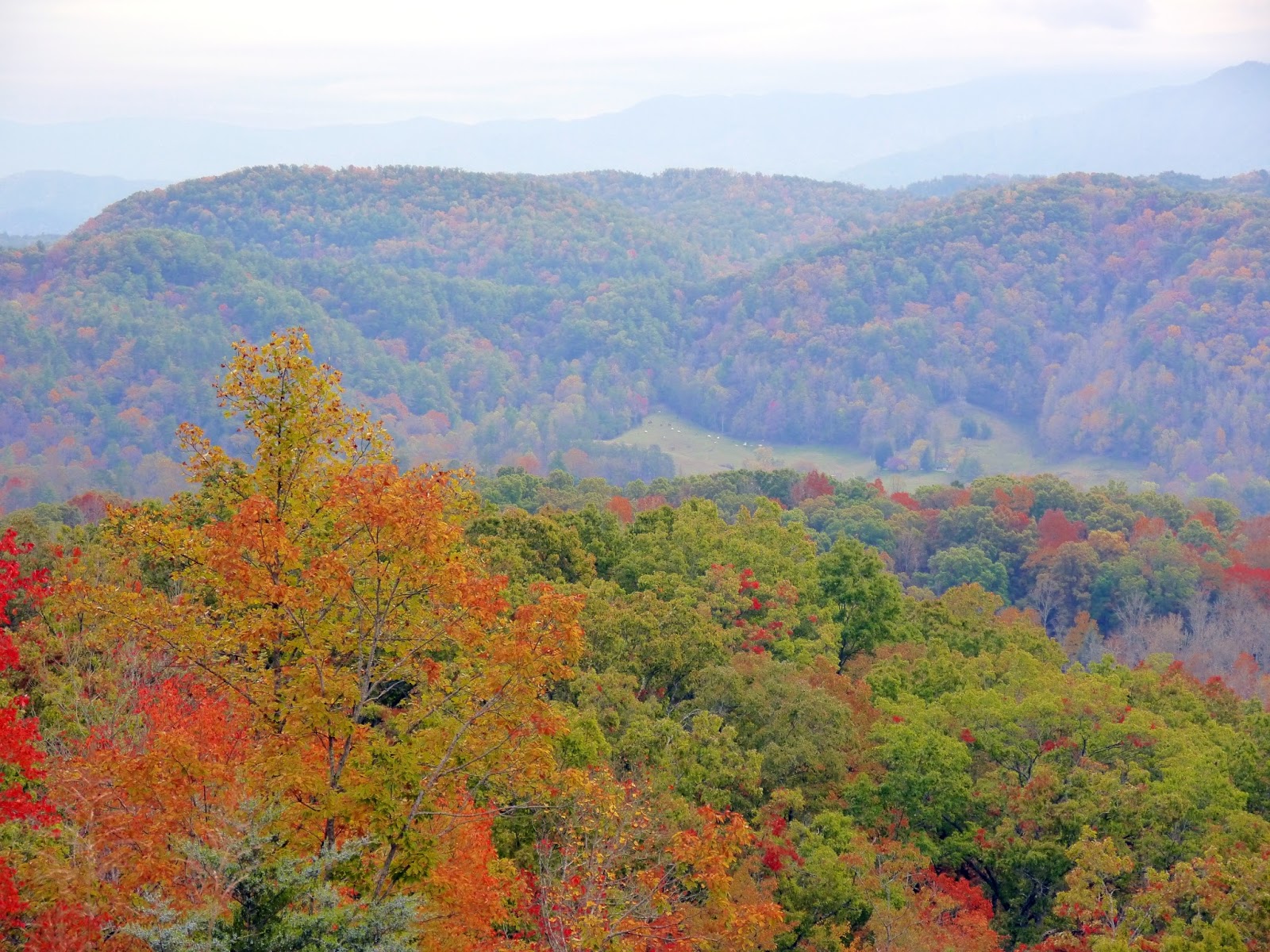 American Travel Journal Foothills Parkway West Great Smoky Mountains National Park