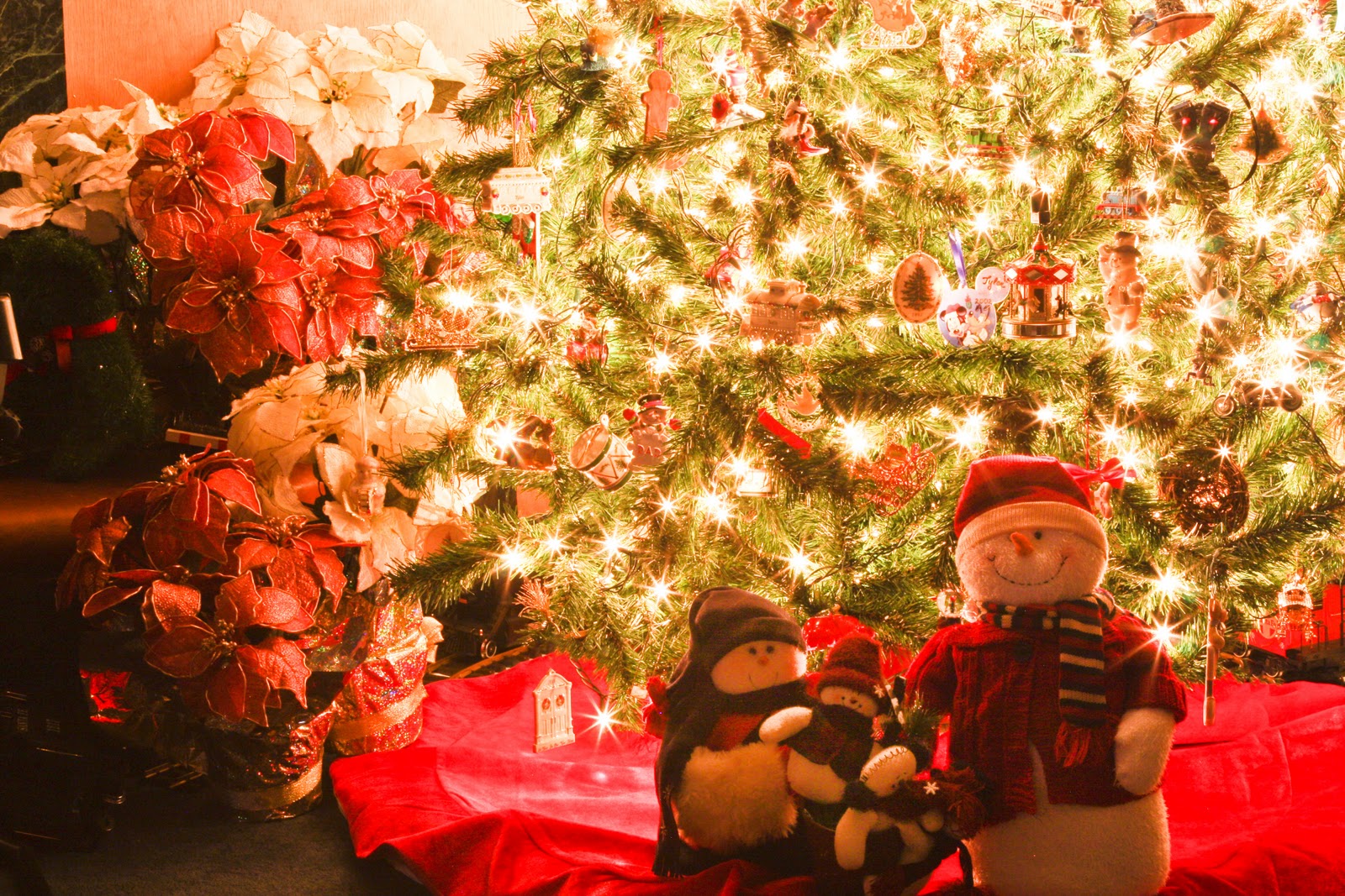 crazy lil thing called luv christmas tree oh christmas crazy lil thing called luv christmas tree oh christmas