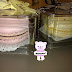 Macaron besar.......