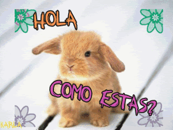 LETRAS HOLA COMO ESTAS letras hola como estas: