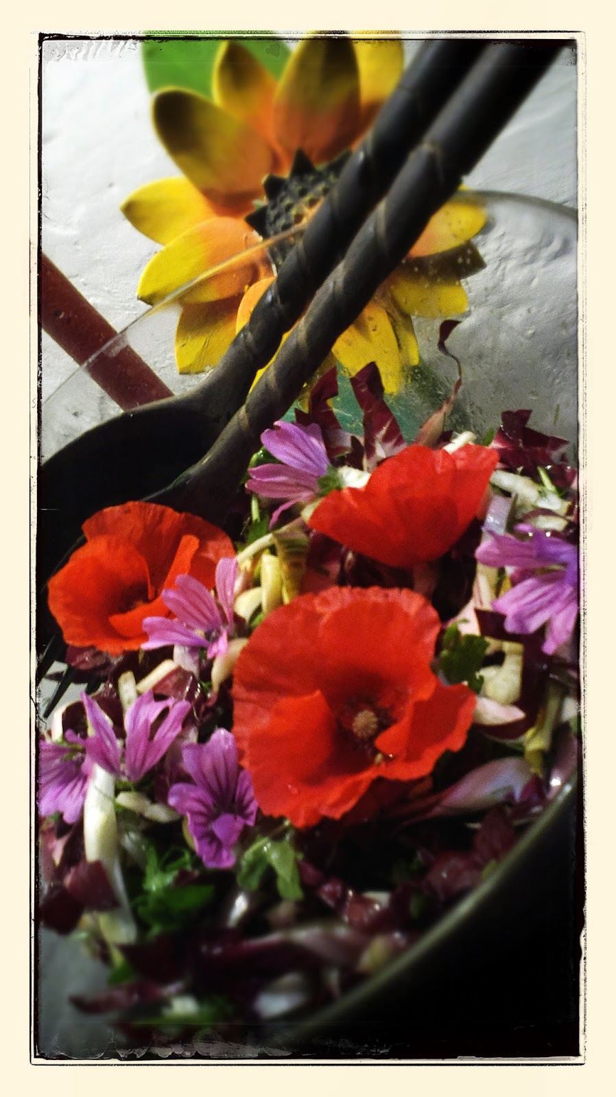 Fiori che si mangiano. Sorpresa! ~ Ricette di cucina - Le ...