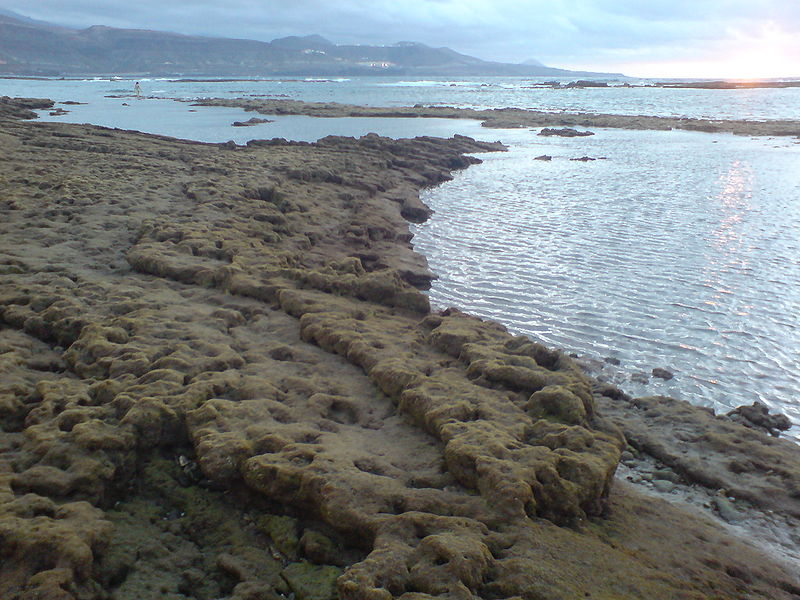 Mi Gran Canaria CANTERAS, PLAYA DE LAS (LAS PALMAS DE GC)