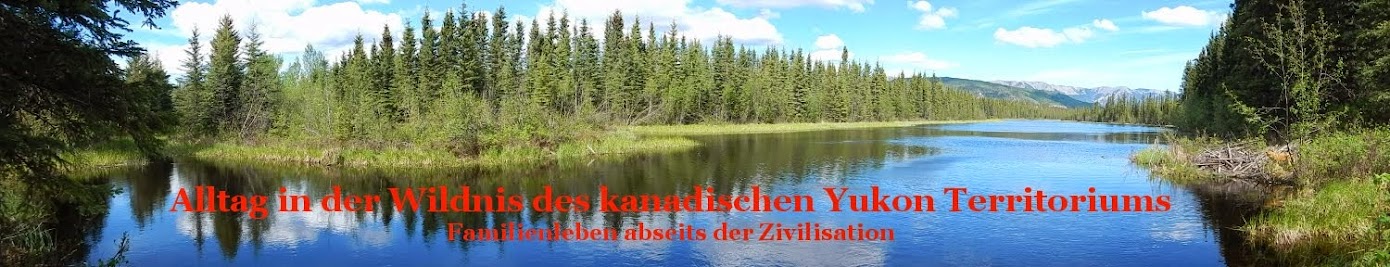 Alltag in der Wildnis des kanadischen Yukon Territoriums                                           