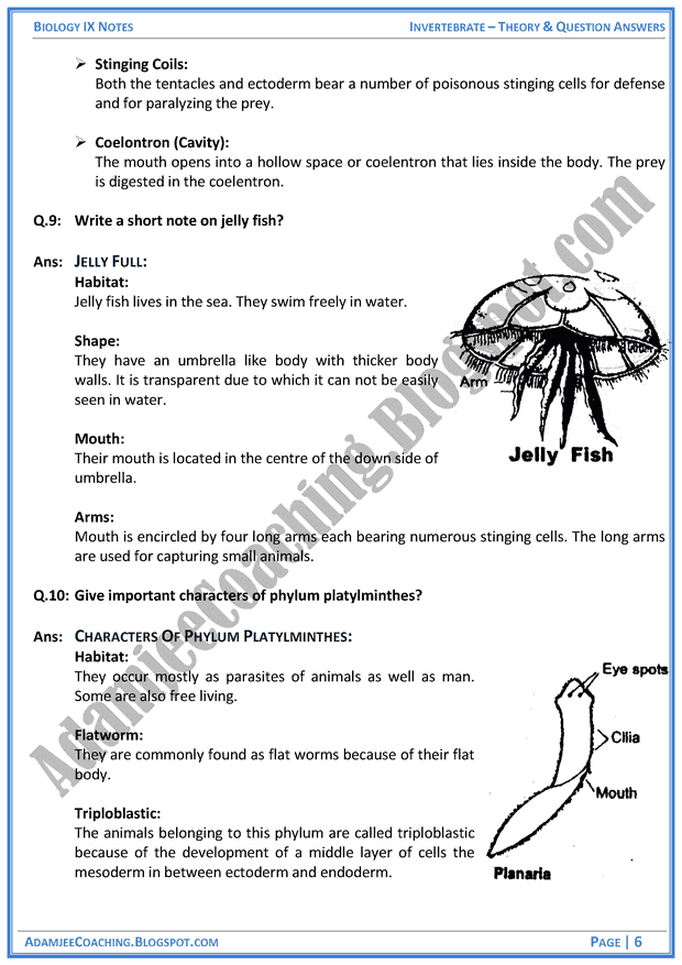 invertebrata-theory-notes-and-question-answers-biology-notes-for-class-9th