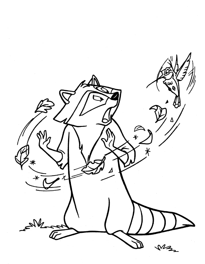 Drawing of the raccoon in Pocahontas Coloring Child Coloring(08)