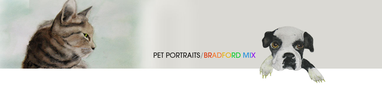 Pet Portraits by Bradford Mix