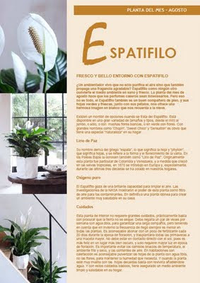 Eapatifito