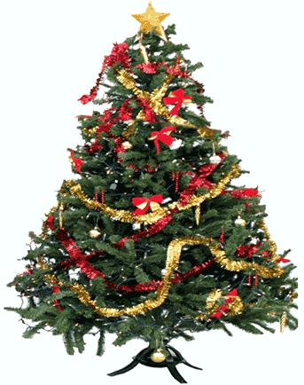 The Pondering 10 - Christmas Season Misunderstandings