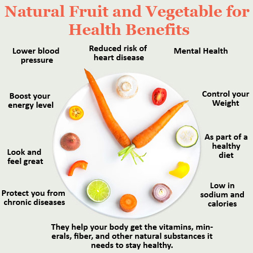 benefits to be a vegetarian There are many benefits of a vegetarian diet, if you're so inclined to try it discover the types of vegetarian diets and the positive results of choosing one. benefits to be a vegetarian There are many benefits of a vegetarian diet, if you're so inclined to try it discover the types of vegetarian diets and the positive results of choosing one.