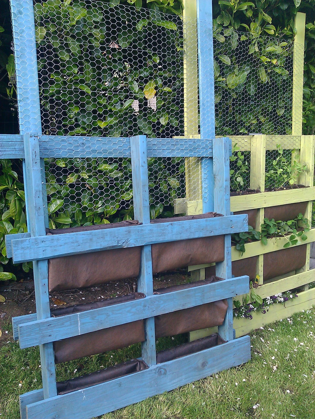 Vertical Pallet Garden Project - Adventures of a Tribal Dancer....