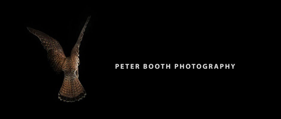 Peter Booth Photography