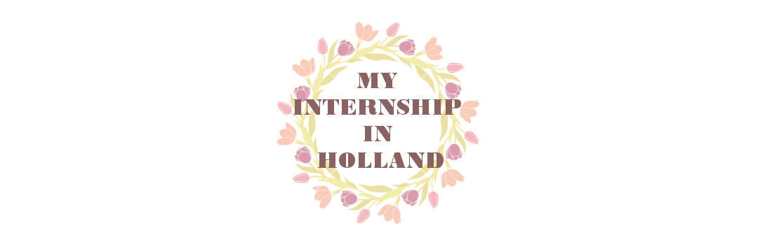 Internship in Holland