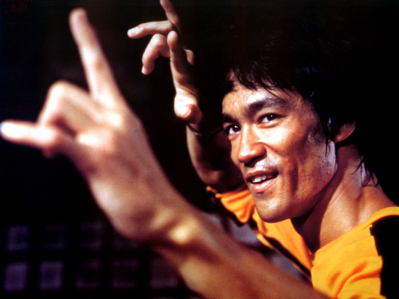 bruce lee biography actor martial arts test copy theme bruce lee biography actor martial arts test copy theme