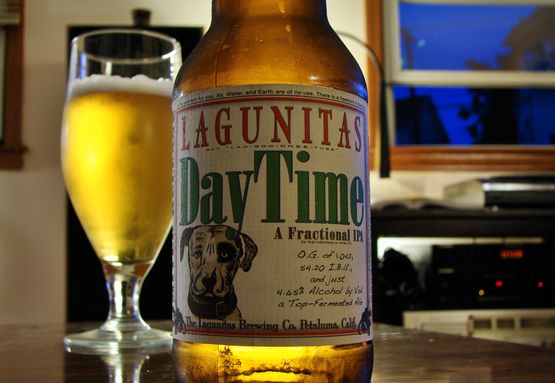 Lagunitas - Daytime IPA Review | Bear Flavored | Homebrew and Beer Blog