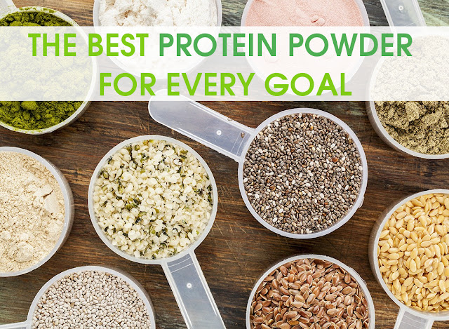 THE BEST PROTEIN POWDER