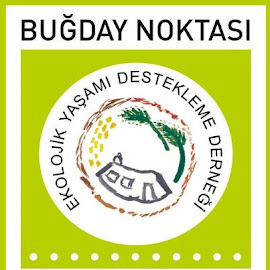 Oyuncak Mu Buğday Noktası'dır!