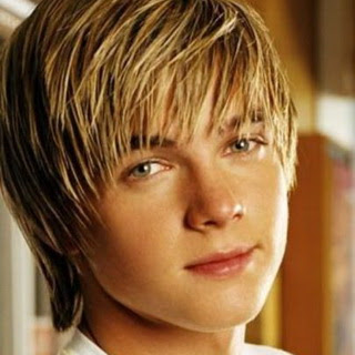 Jesse McCartney - License