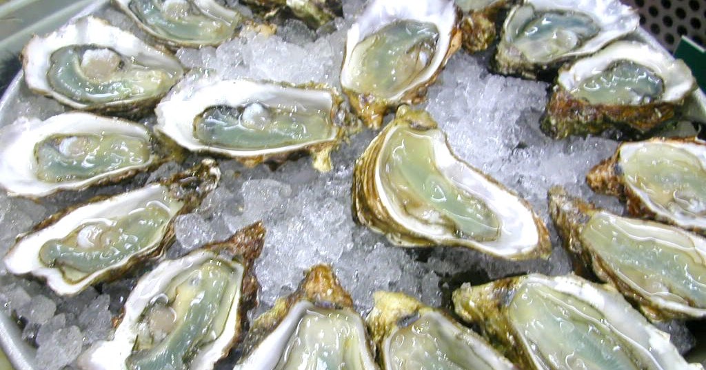 Rhode Island Farmers Market Sunday Rhode Island Farmers Market Sunday
