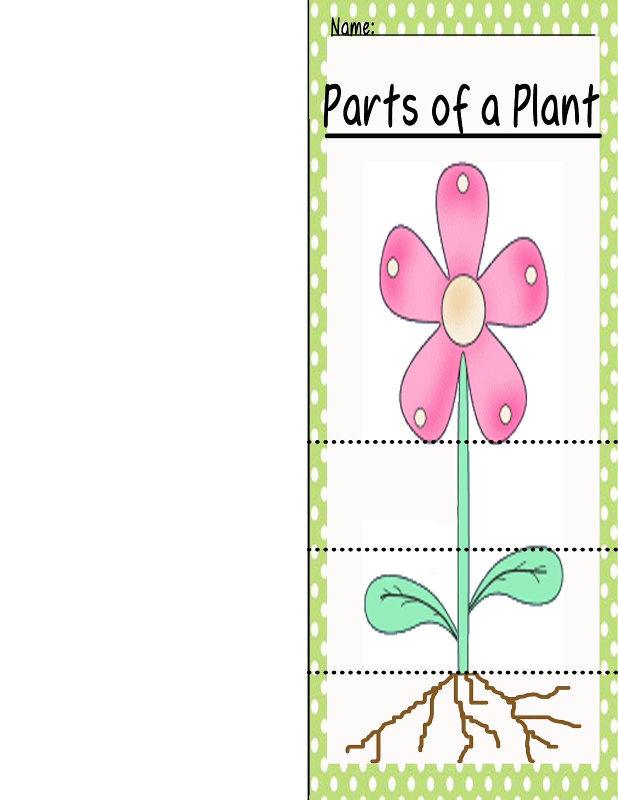 Plant+Parts+Used+for+Food Plant Parts Used for Food http://polkadotsandteachingtots.blogspot.com ...