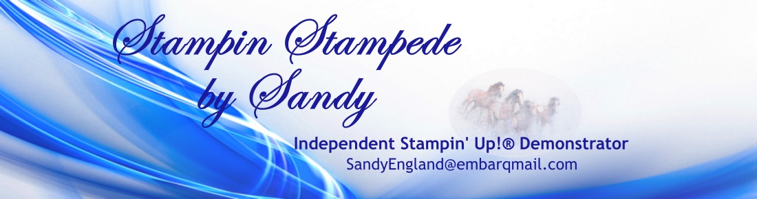 Stampin Stampede by Sandy