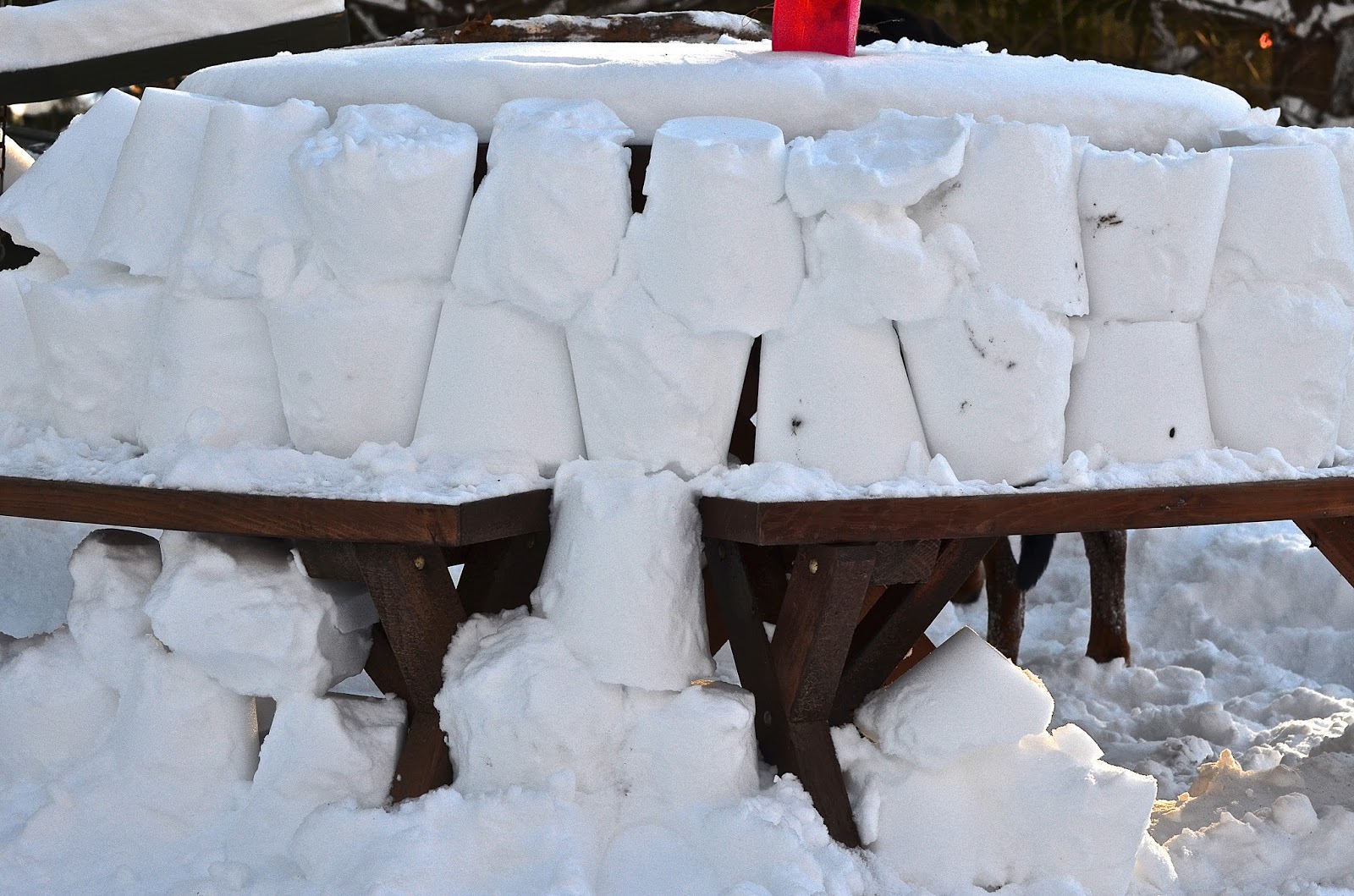 From My Hearth to Yours Build Your Own Igloo with Scaffolding