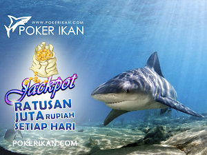 Agen Judi Poker 100% Aman Chip Dijamin Tidak Akan Hilang Pokerikan.com