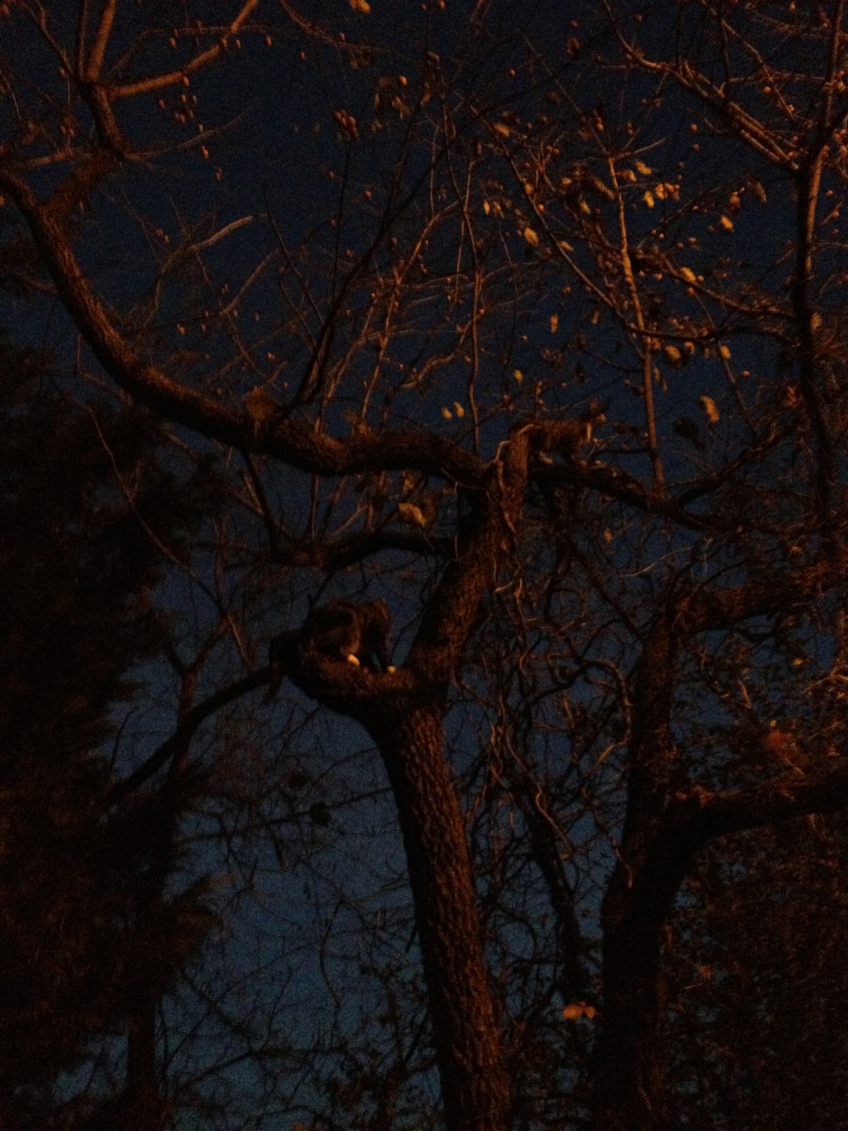 Dark Eerie Background