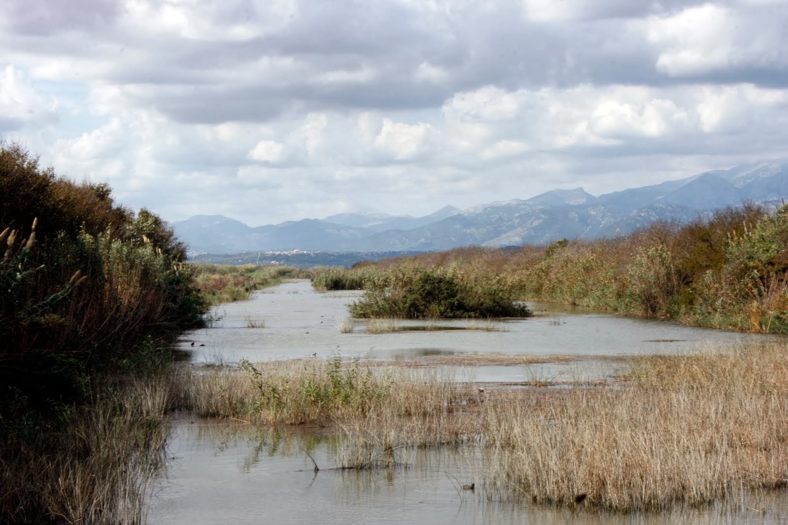 Albufera de Mallorca