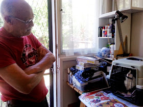 A vet looks at a cat in a cat carrier.