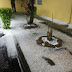 Chuva de granizo em Campo Belo deixa ruas interditadas e causa transtorno