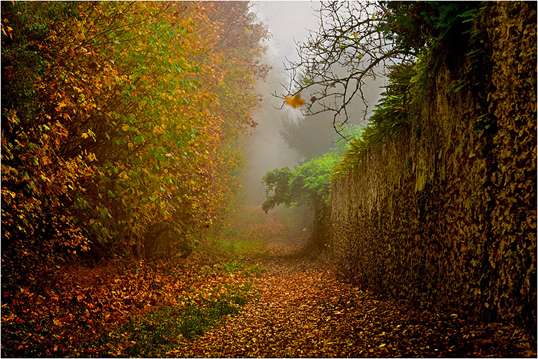 Emerging Photographers, Best Photo of the Day in Emphoka by Marie Lalanne Manzor Emerging Photographers, Best Photo of the Day in Emphoka by Marie Lalanne Manzor