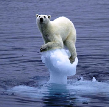 saving polar bears