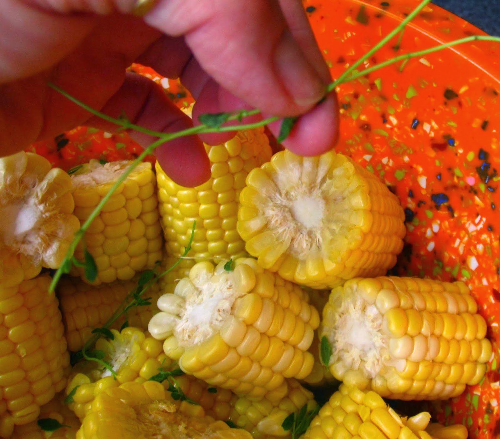 Daily*Dishin Quick Thyme Corn Cobbettes