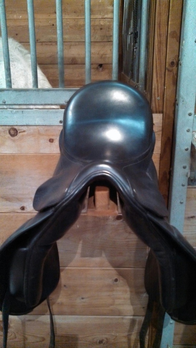 Mechanics for the Equine Athlete How to tell if your saddle tree is broken