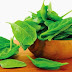 Reasons to Eat More Spinach