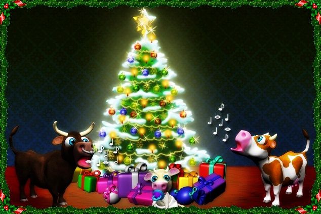 tanuló: Karácsonyi képek