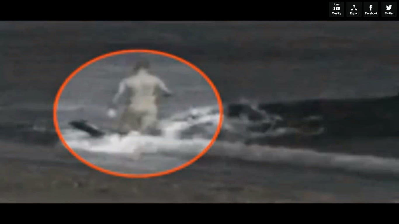 Video Pedia Man Eaten By Whale