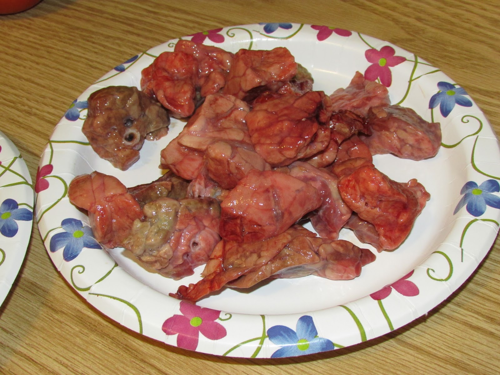 dehydrated beef lung for dogs