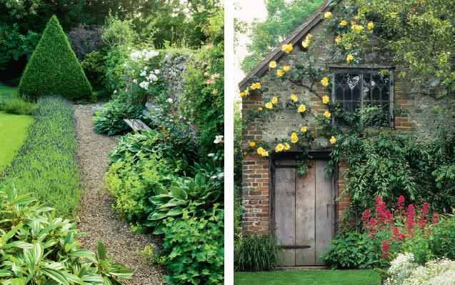Cottage Garden: Country garden