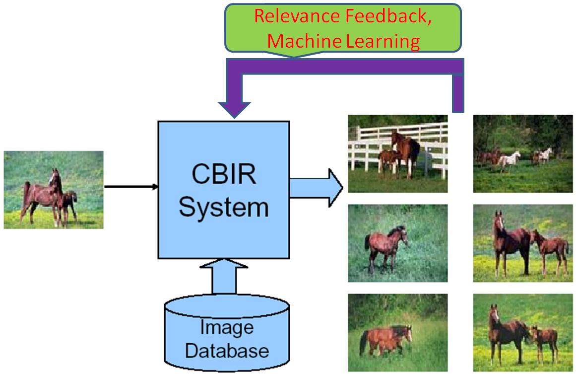 web based information system effectiveness The effectiveness of web-based instruction: an initial inquiry the world wide web can be used to provide instruction and instructional support web-based instruction offers learners unparalleled access to instructional resources, far surpassing the reach of the traditional classroom. web based information system effectiveness The effectiveness of web-based instruction: an initial inquiry the world wide web can be used to provide instruction and instructional support web-based instruction offers learners unparalleled access to instructional resources, far surpassing the reach of the traditional classroom.